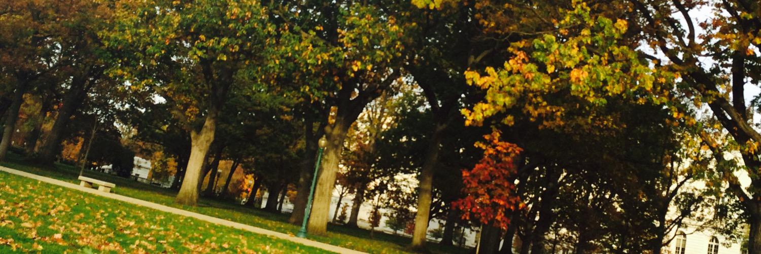Baileymmn banner