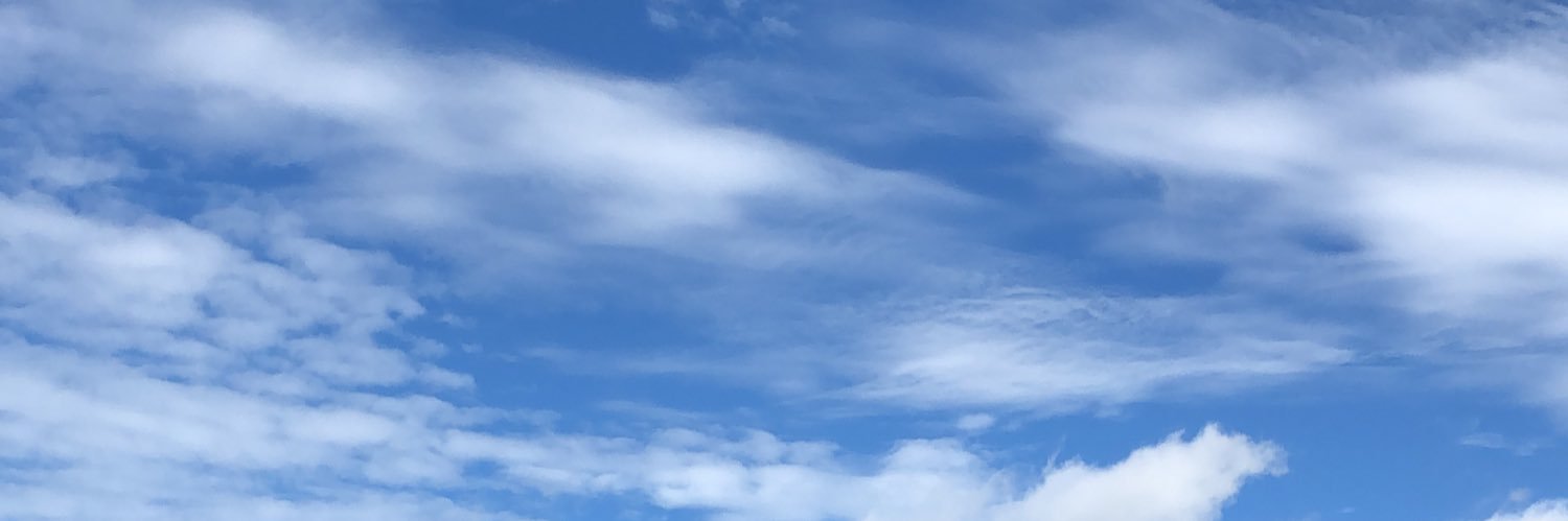 Priiscillarn's profile banner image