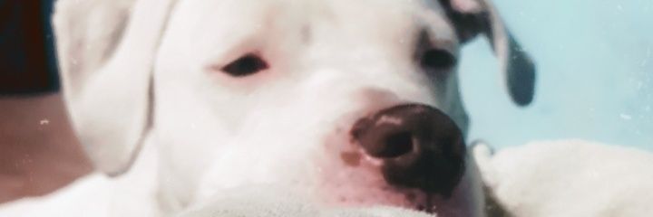 Stefy16r's profile banner image