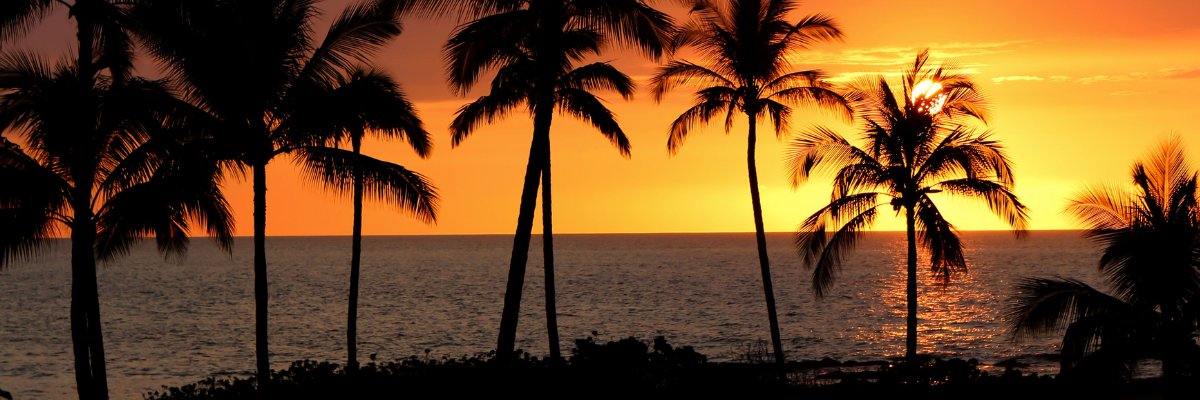 TimSomers's profile banner image