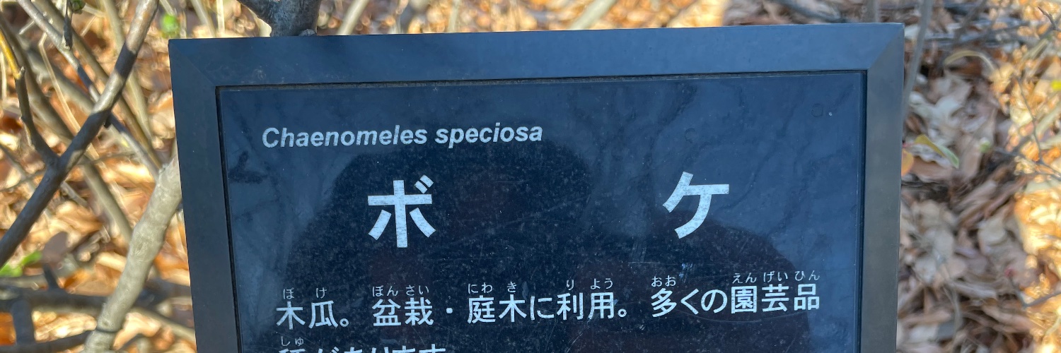 しえる banner
