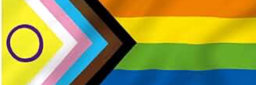 Lee Roberts they/them (Maximillian Tiberius Rex) banner