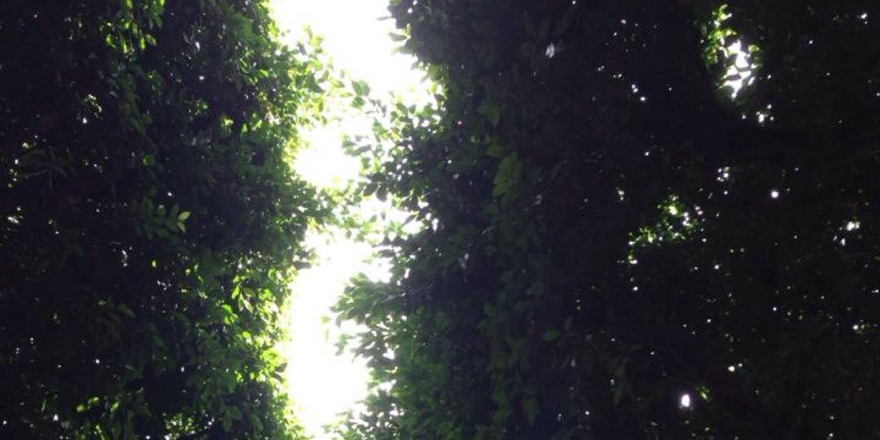 only_azul's profile banner image
