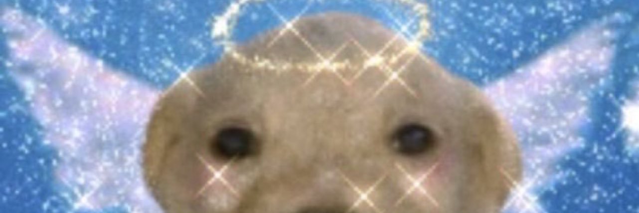 내심놔🩵 banner