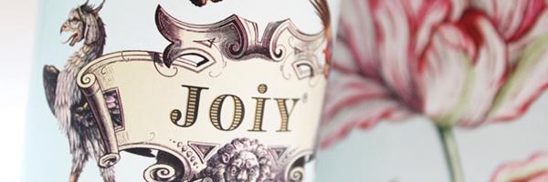 joiynz's profile banner image