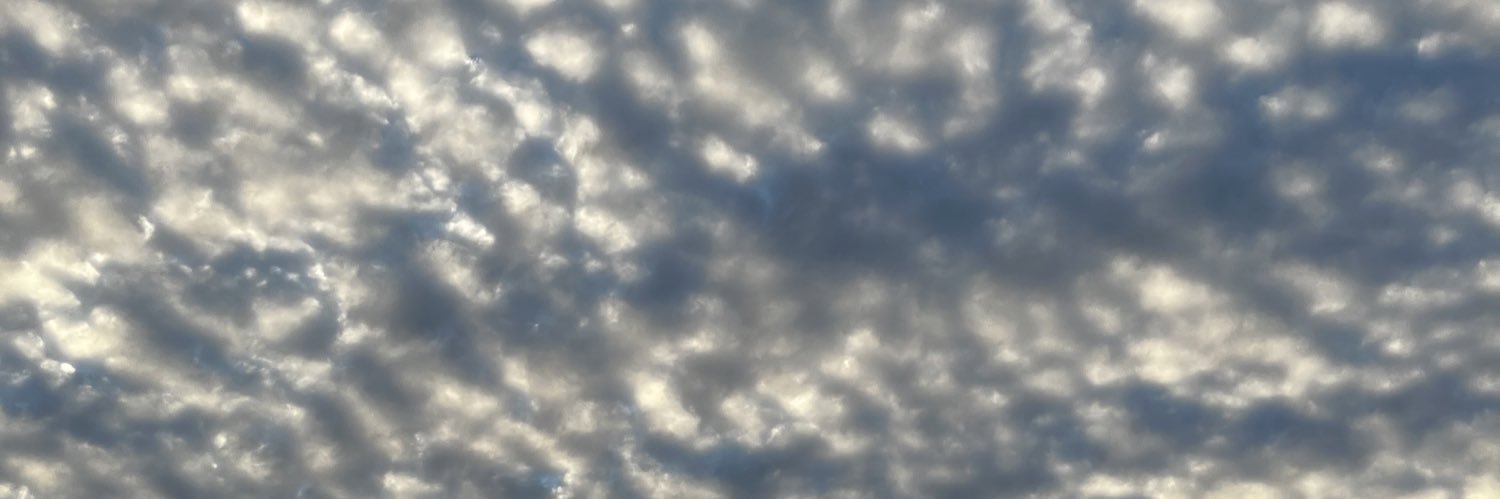 michaelcaroo's profile banner image