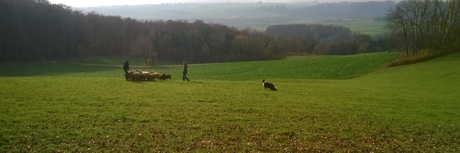 Innu pour Innumérable banner