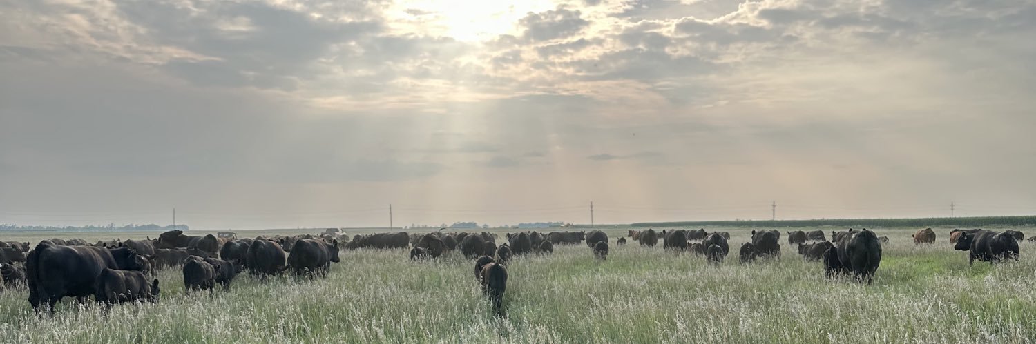 WobigCaleb's profile banner image