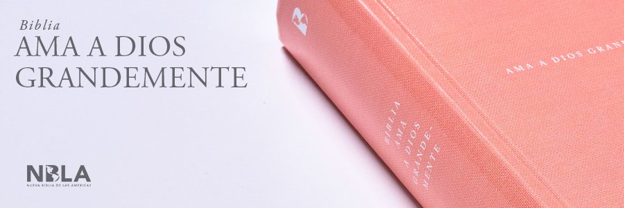 Editorial Vida banner