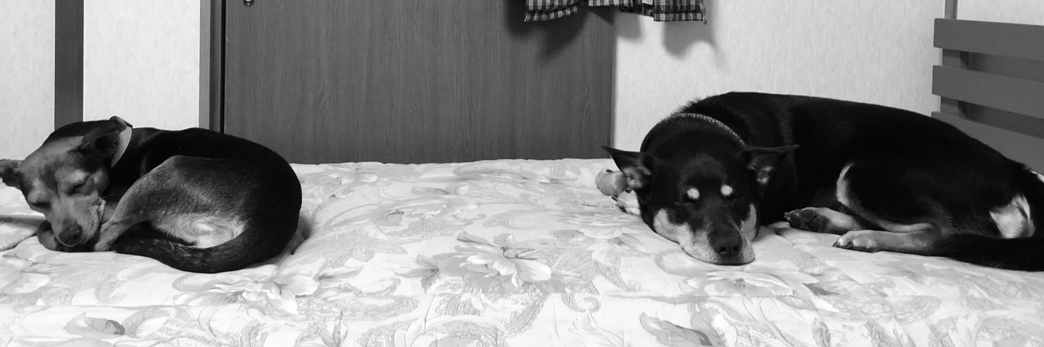 あいあい banner