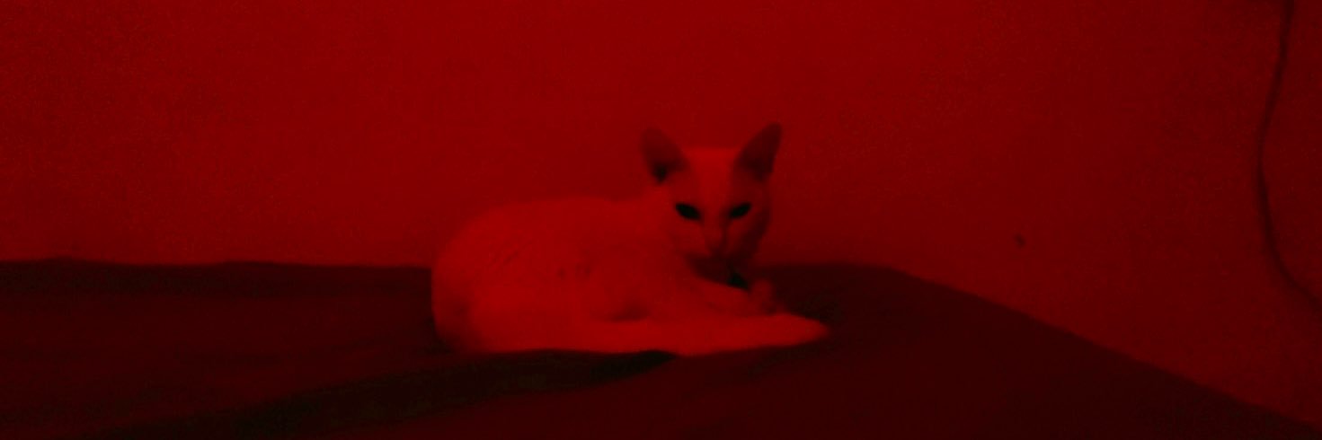 cochileta russa banner