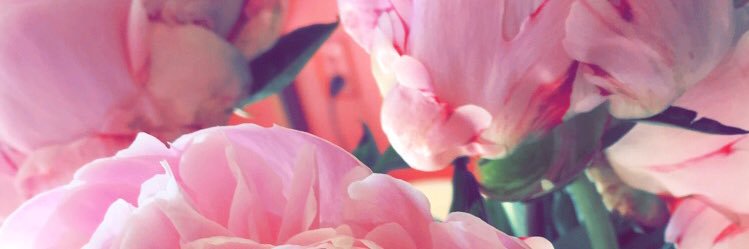 Corrie_Fagan's profile banner image