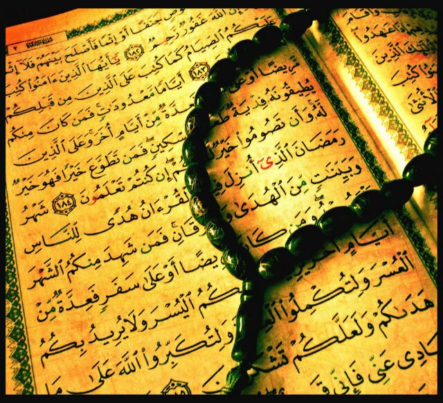 421Amin's profile banner image