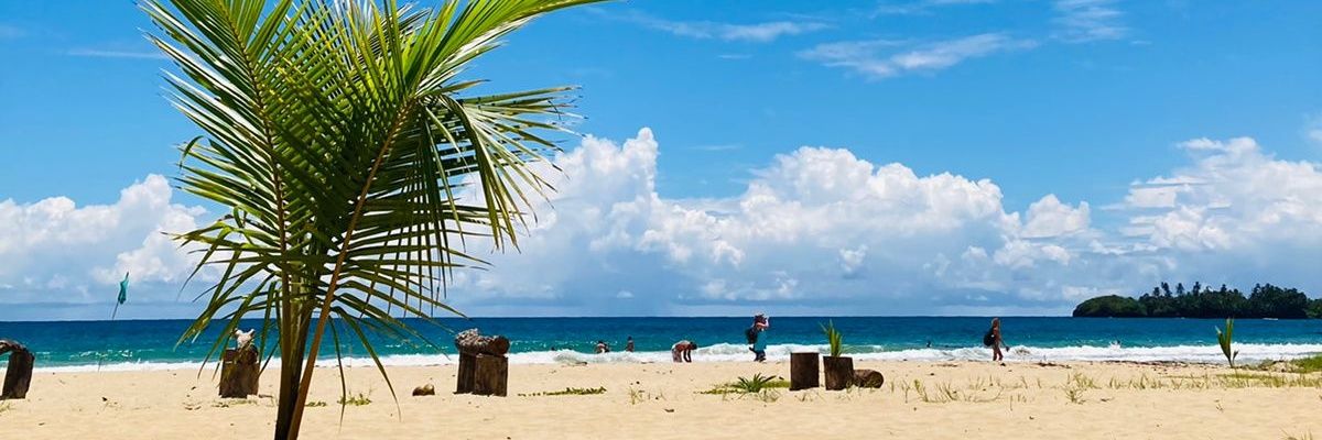 MowMarco's profile banner image