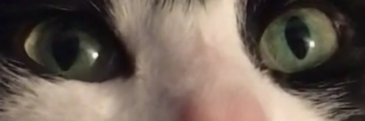 Flexty94's profile banner image