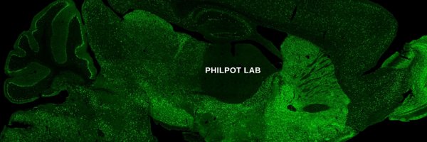 PhilpotLab Profile Banner