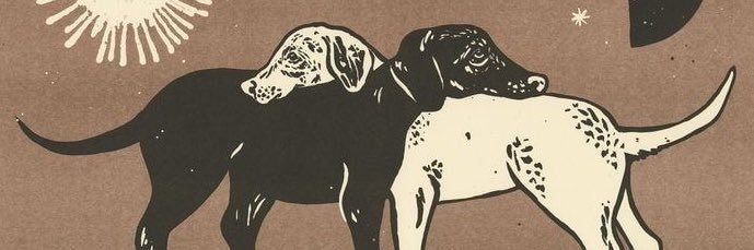 zeca urubu atravessando o pantano banner