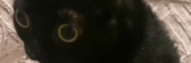 Nobody Somebody banner