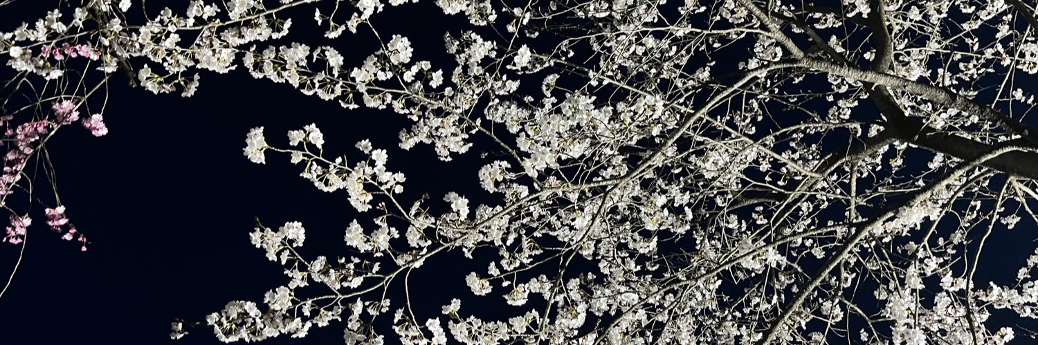 clematis001's profile banner image