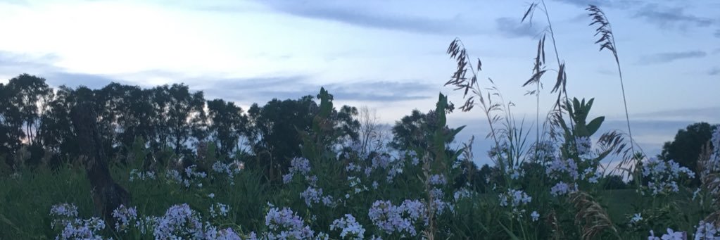 _graceanderson2's profile banner image