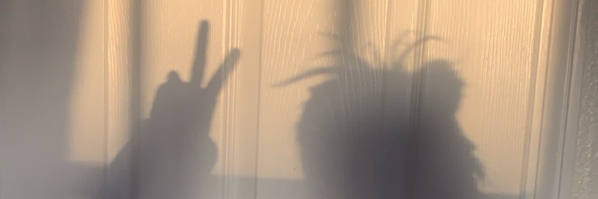 ybabeidnad's profile banner image