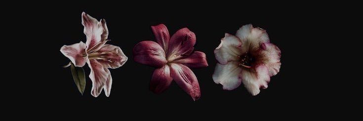 ChariBabi's profile banner image