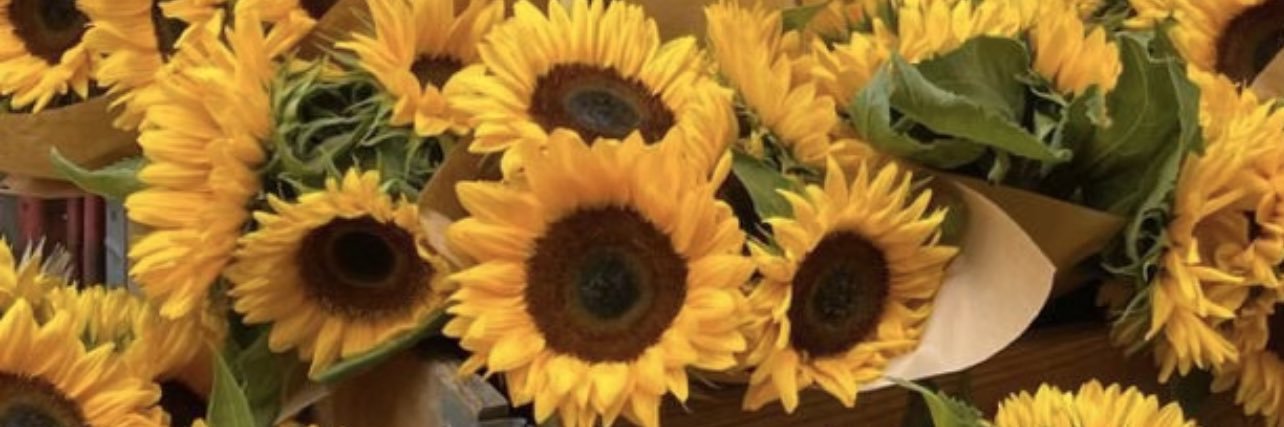 🌻Ice🌻( ไอซ์ ) ❄️ banner