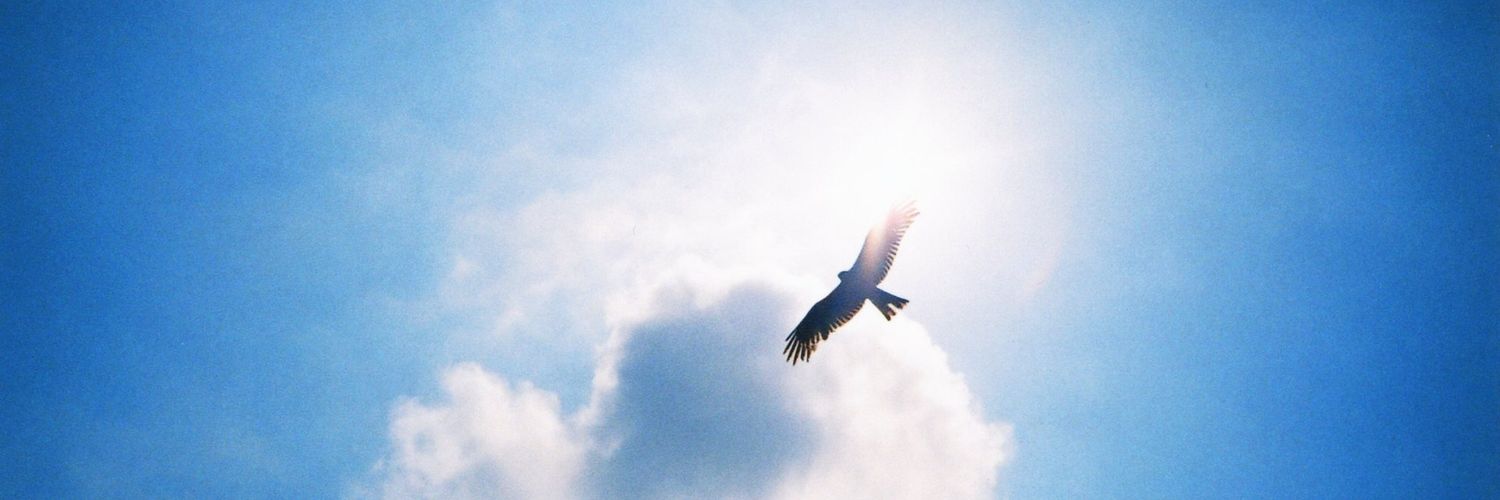 runa226_'s profile banner image