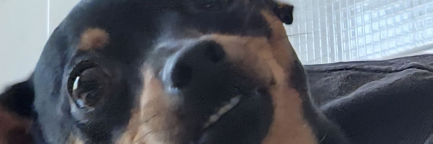 tunicofernandes's profile banner image