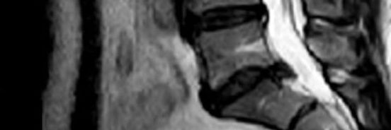ElOrtopeda's profile banner image