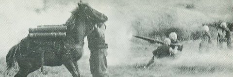 DaHoffermn's profile banner image