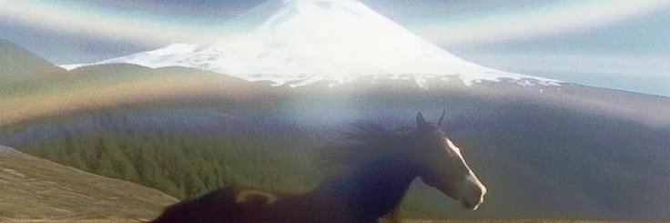 🔞 hoax || ceo of sageshadow banner