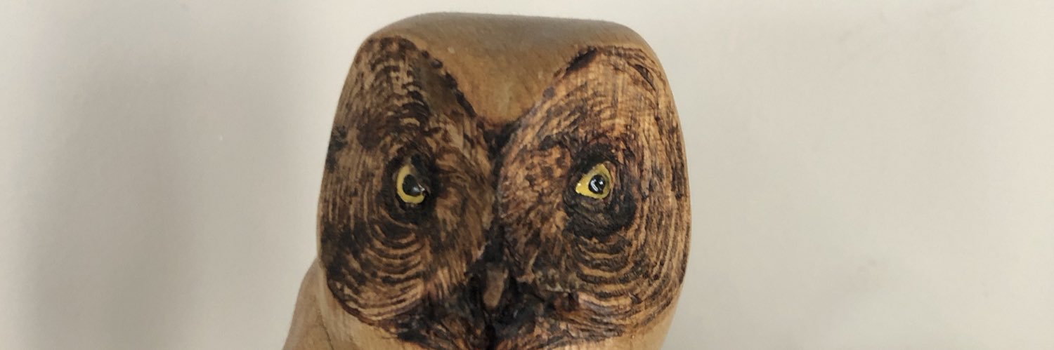 scottXrobins's profile banner image