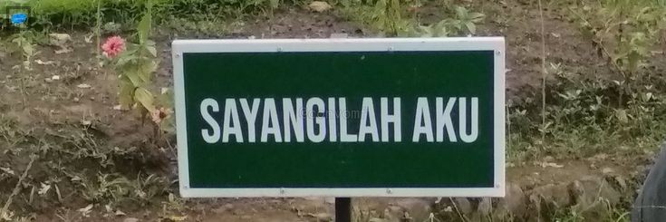 lapak's banner