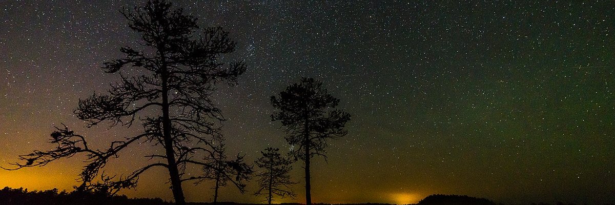 Rayearth CLONE (💙,🧡) |🟠 NFTARMY OwO 🟠 $EVER banner