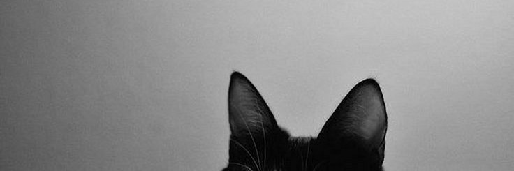 tracinxyshr's profile banner image