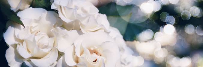 の banner