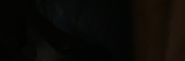 AktaPatelRed Profile Banner