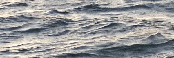 my_northstar Profile Banner