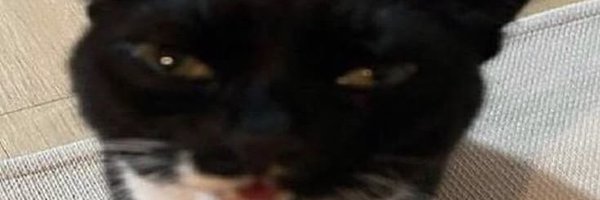 Itz_NotReal1 Profile Banner