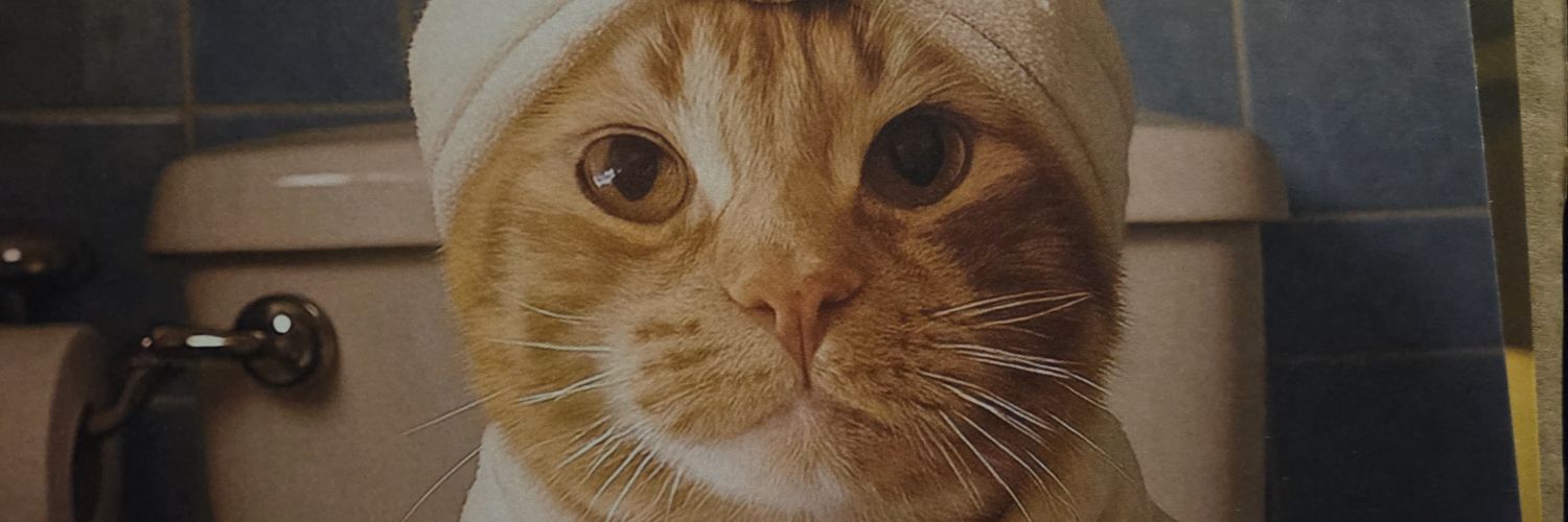 tandraz's profile banner image