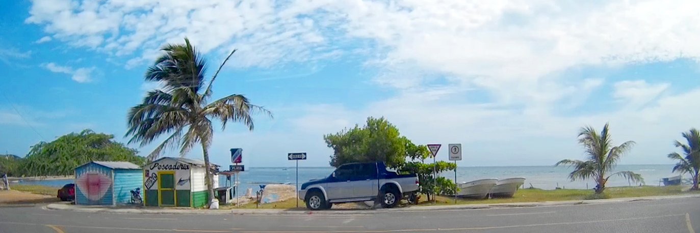 wouter muller 🇳🇱 banner