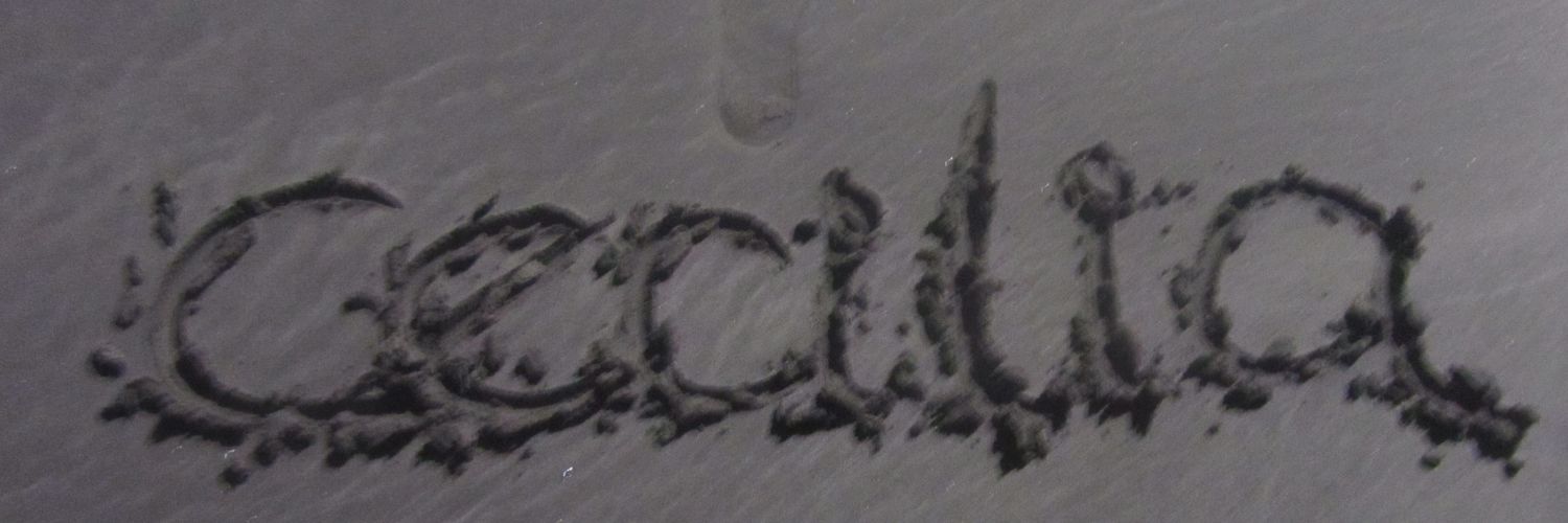 ceciliabecquer's profile banner image