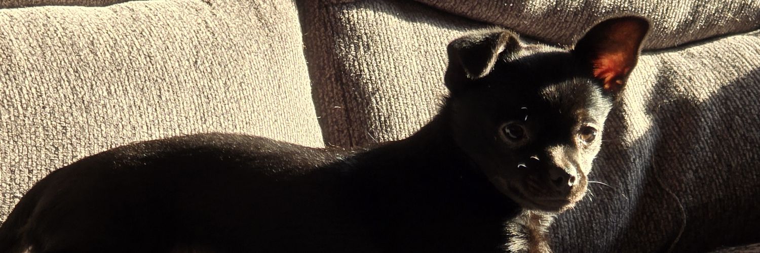 AlwaysNicolex's profile banner image