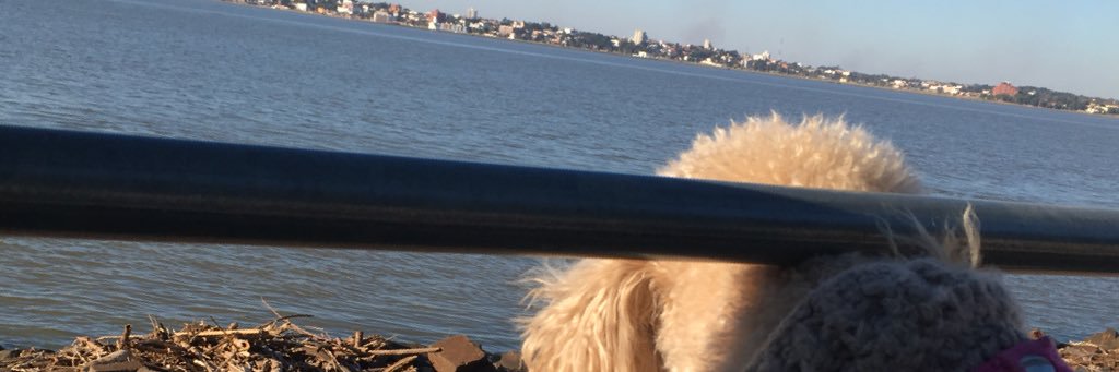 valenluco's profile banner image