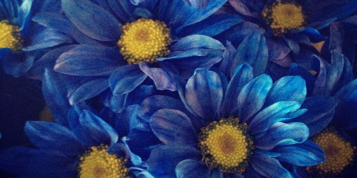 AHart401's profile banner image