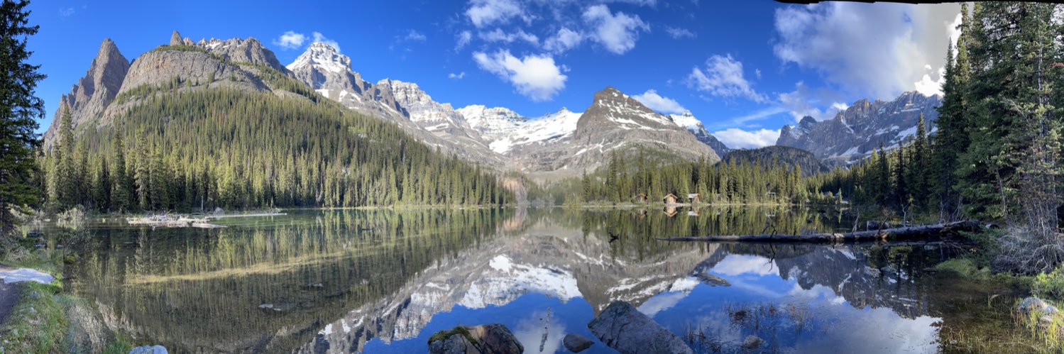 Düncan Purvis banner