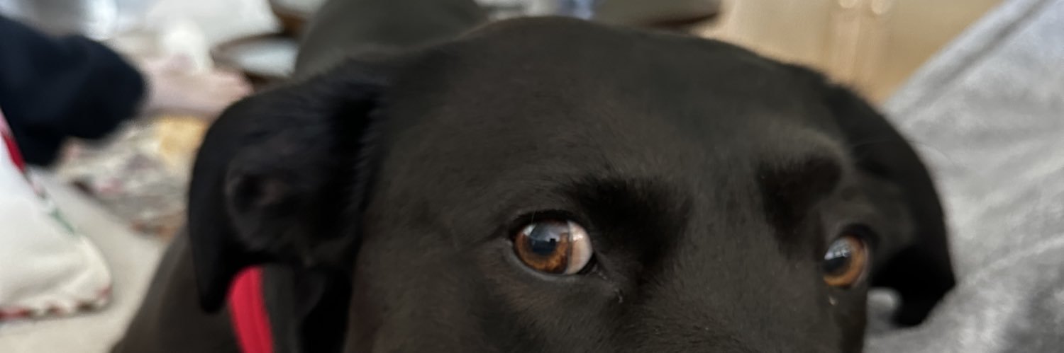 itspatyyy_'s profile banner image