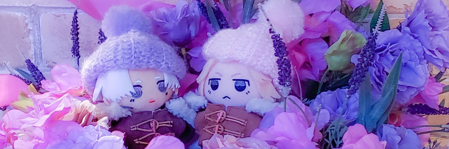 けー🐾 banner