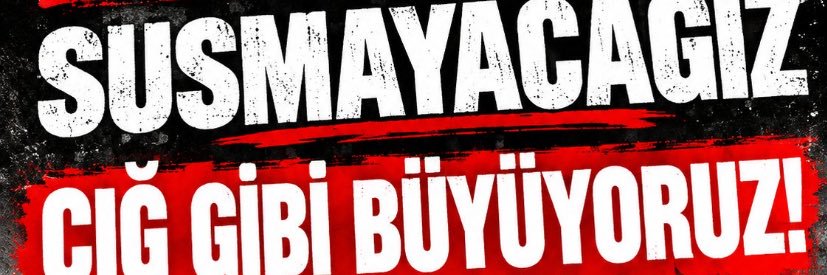 eylemars's profile banner image